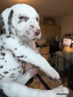 IMG_20250203_161314_web