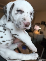 IMG_20250203_161316_web