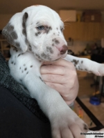 IMG_20250203_161449_web