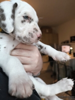 IMG_20250203_161452_web