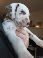 IMG_20250203_161500_web