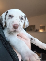 IMG_20250203_161502_web