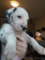 IMG_20250203_161532_web