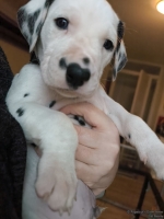 IMG_20250203_161533_web