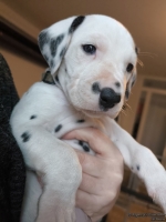 IMG_20250203_161534_web