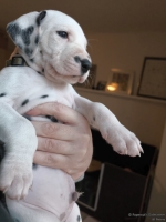 IMG_20250203_161543_web