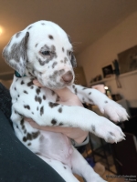 IMG_20250203_161659_web