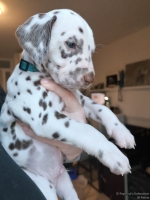 IMG_20250203_161701_web