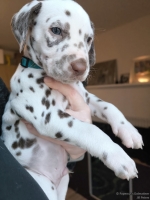 IMG_20250203_161703_web