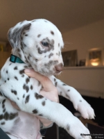 IMG_20250203_161707_web