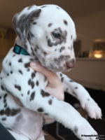 IMG_20250203_161708_web