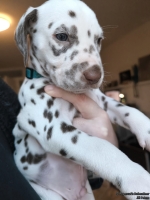 IMG_20250203_161709_web