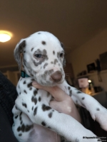 IMG_20250203_161710_web