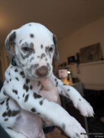 IMG_20250203_161711_web