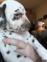 IMG_20250203_161742_web