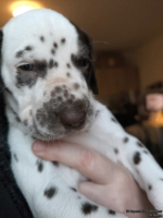 IMG_20250203_161743_web