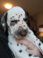 IMG_20250203_161744_web