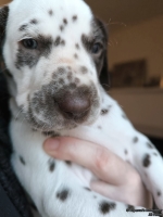 IMG_20250203_161751_web