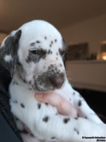 IMG_20250203_161754_web