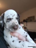 IMG_20250203_161757_web