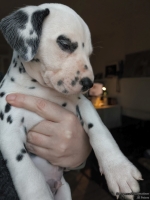 IMG_20250203_161859_web