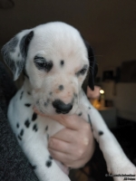 IMG_20250203_161902_web