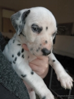 IMG_20250203_161906_web