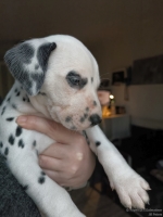 IMG_20250203_161907_web