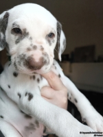 IMG_20250203_161940_web