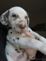 IMG_20250203_161944_web