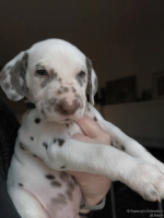 IMG_20250203_161946_web