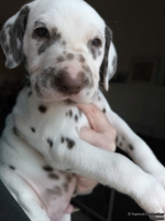 IMG_20250203_161952_web