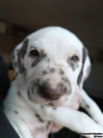 IMG_20250203_161954_web