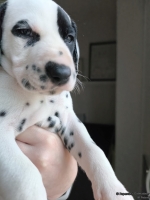 IMG_20250203_162033_web