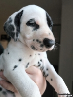 IMG_20250203_162034_web