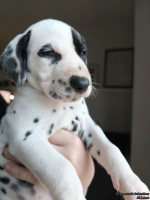 IMG_20250203_162035_web