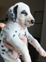 IMG_20250203_162040_web