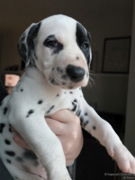 IMG_20250203_162043_web