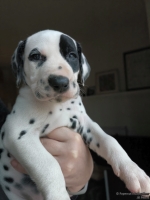 IMG_20250203_162044_web