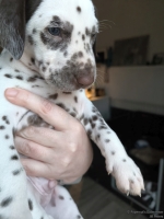 IMG_20250203_162107_web