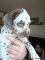 IMG_20250203_162108_web