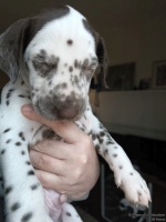 IMG_20250203_162110_web