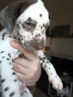 IMG_20250203_162113_web