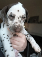 IMG_20250203_162116_web