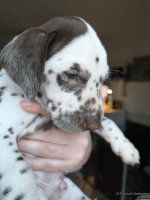 IMG_20250203_162123_web