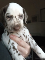 IMG_20250203_162204_web