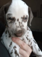 IMG_20250203_162205_web