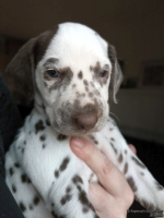 IMG_20250203_162212_web