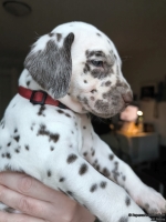 IMG_20250203_162247_web