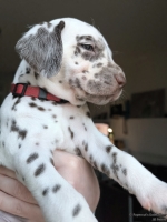 IMG_20250203_162252_web